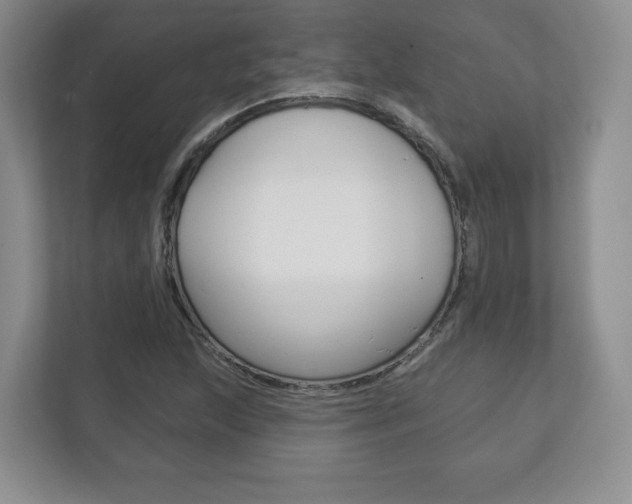 X0000113181215200909040947