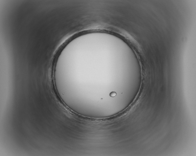 X0000113181216200909040947