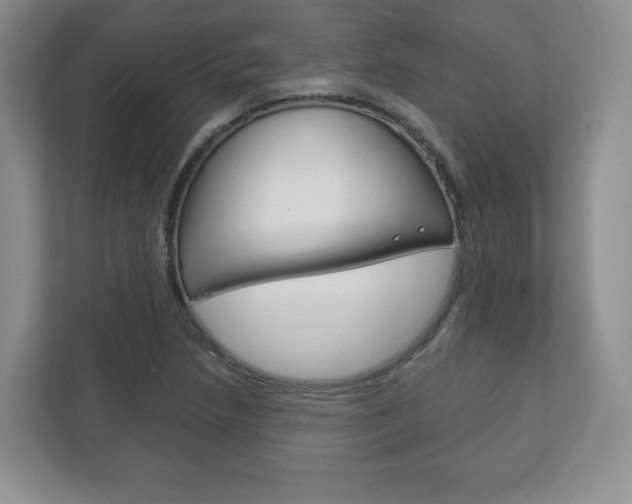 X0000113181218200909040947