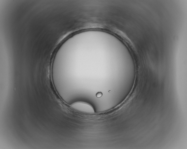 X0000113181220200909040947