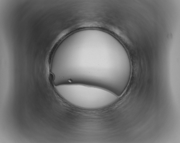X0000113181221200909040947