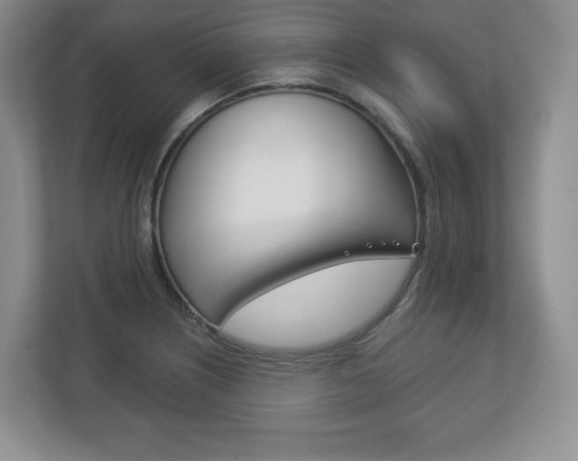 X0000113181226200909040947