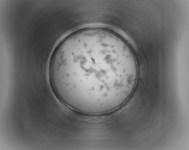 X0000113181229200909040947