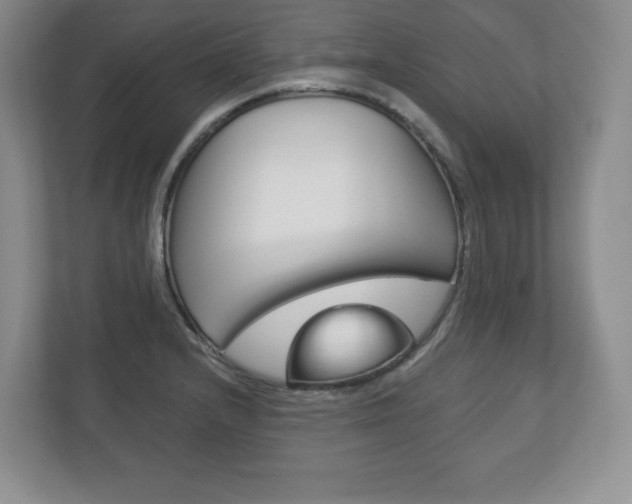 X0000113181232200909040947