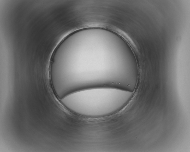 X0000113181236200909040947