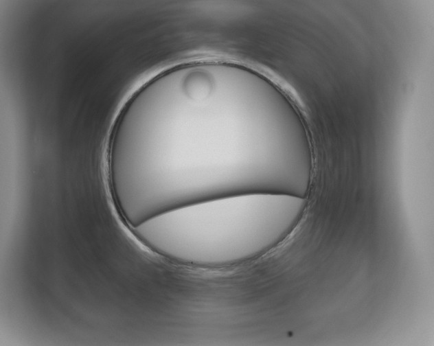 X0000113181239200909040947