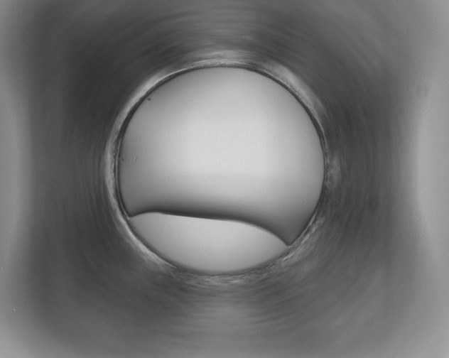 X0000113181243200909040947