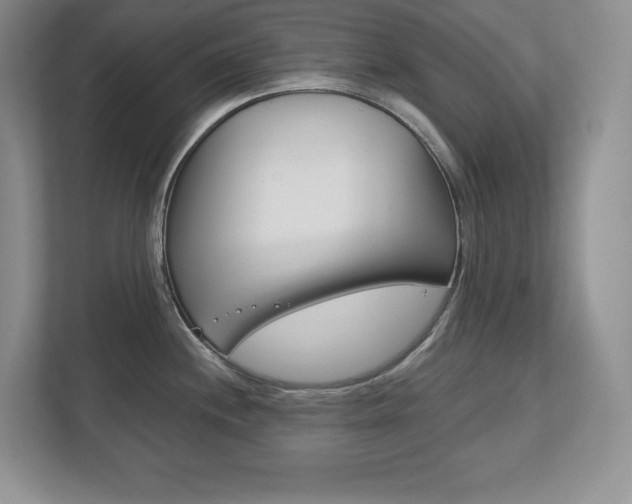 X0000113181244200909040947