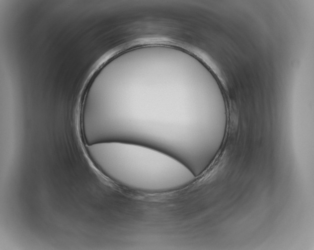 X0000113181245200909040947