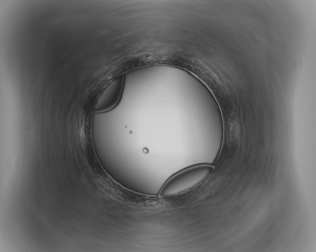 X0000113181250200909040947