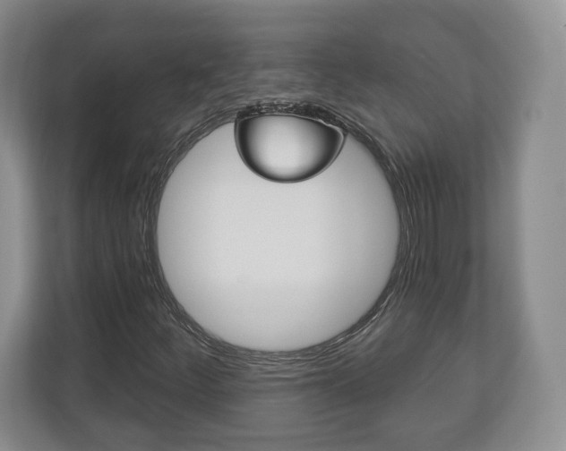 X0000113181252200909040947