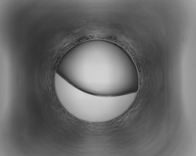 X0000113181253200909040947