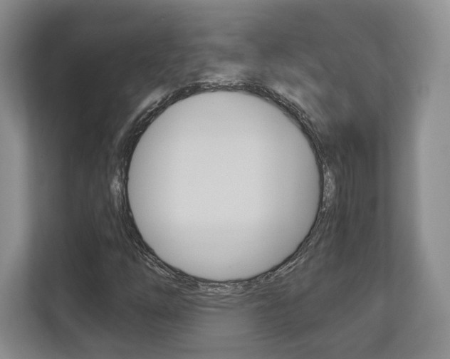 X0000113181254200909040947