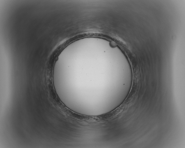 X0000113181255200909040947
