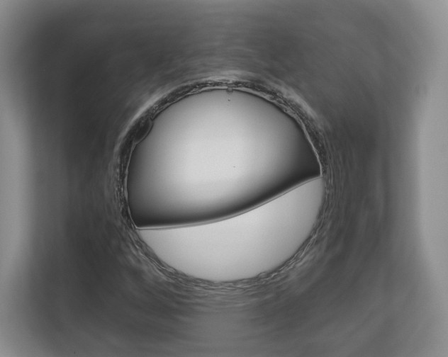 X0000113181256200909040947