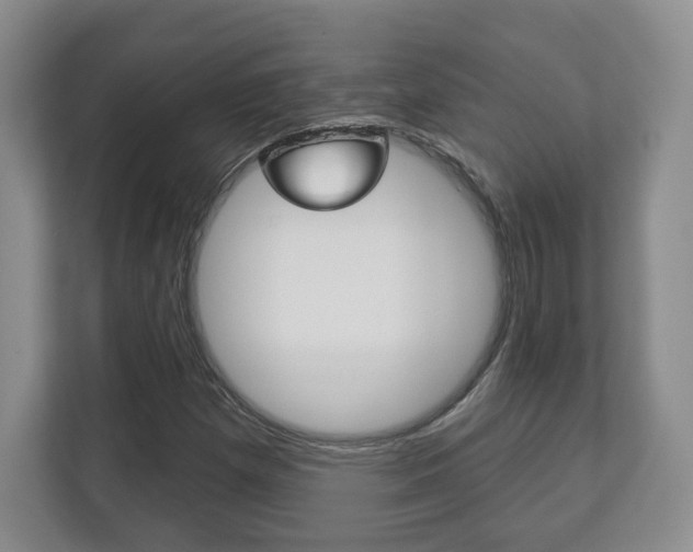 X0000113181257200909040947