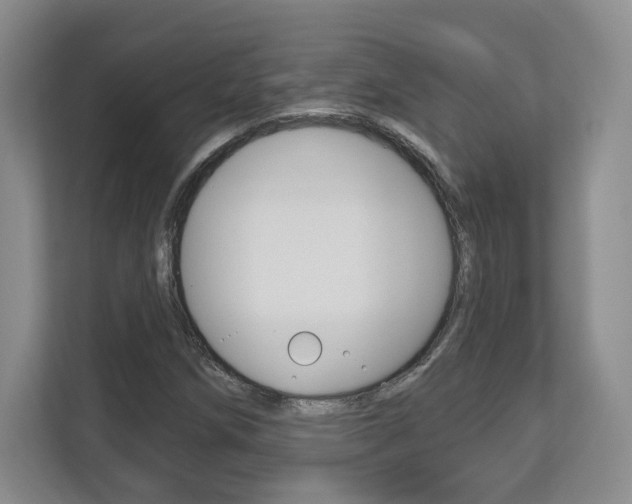 X0000113181258200909040947