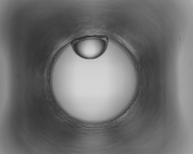 X0000113181261200909040947