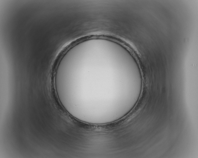 X0000113181263200909040947