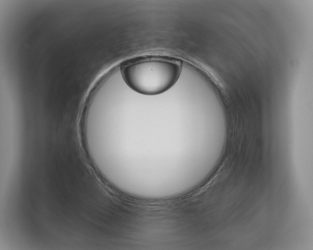 X0000113181264200909040947