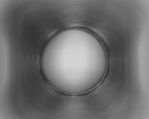 X0000113181265200909040947