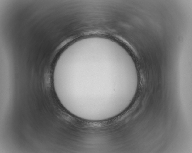 X0000113181266200909040947