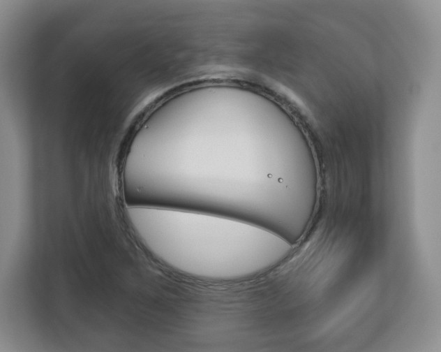 X0000113181267200909040947