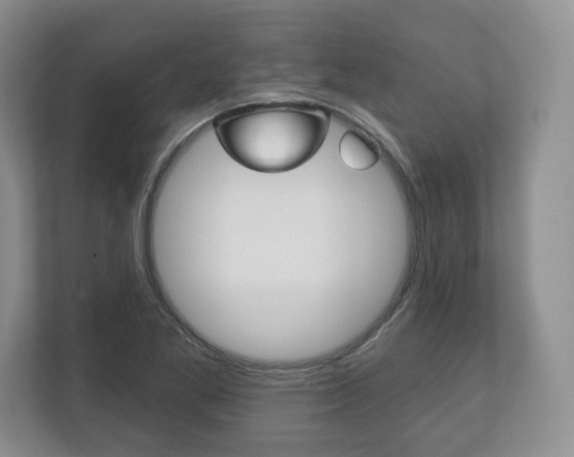 X0000113181269200909040947