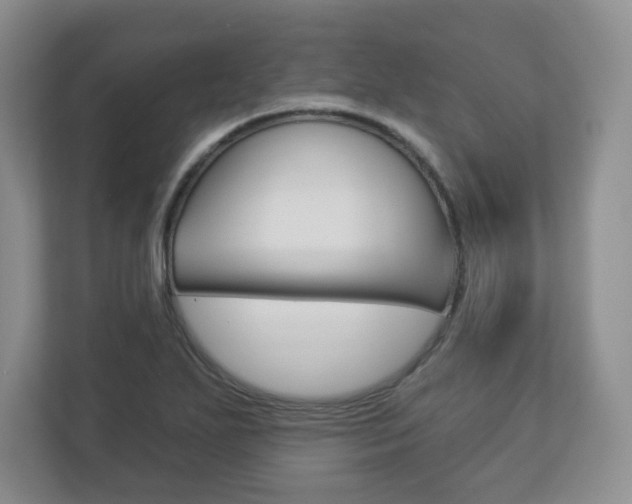 X0000113181271200909040947