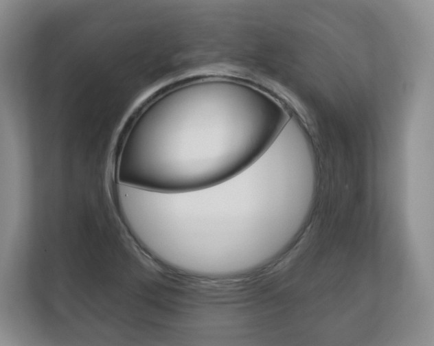 X0000113181272200909040947