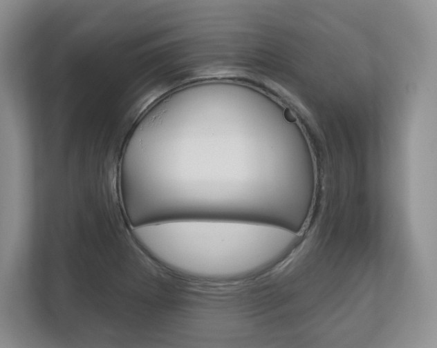 X0000113181273200909040947