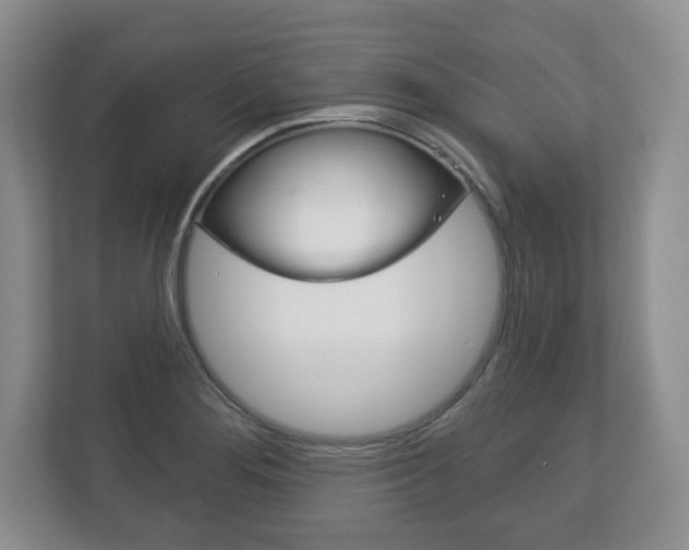 X0000113181276200909040947
