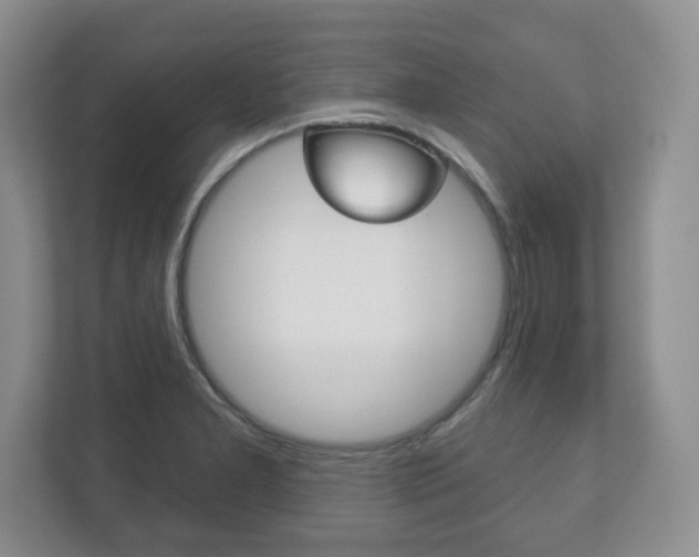 X0000113181277200909040947