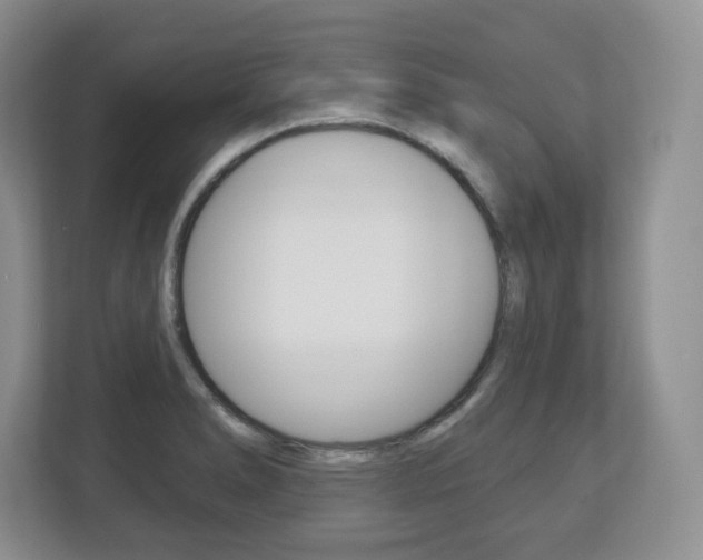 X0000113181278200909040946