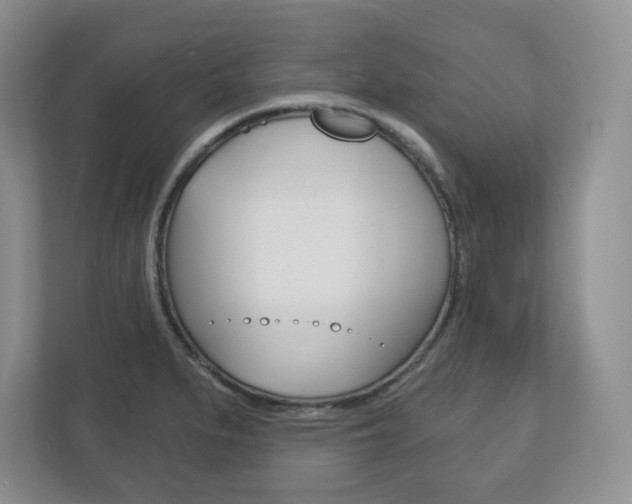 X0000113181279200909040946