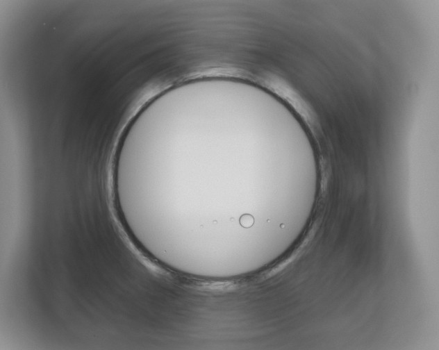 X0000113181282200909040946