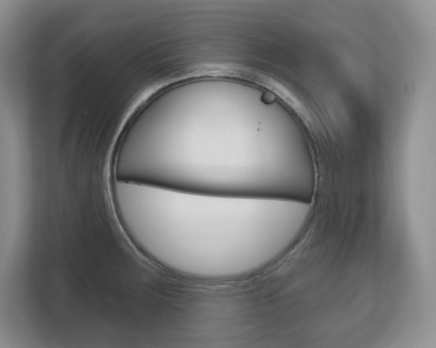 X0000113181283200909040946