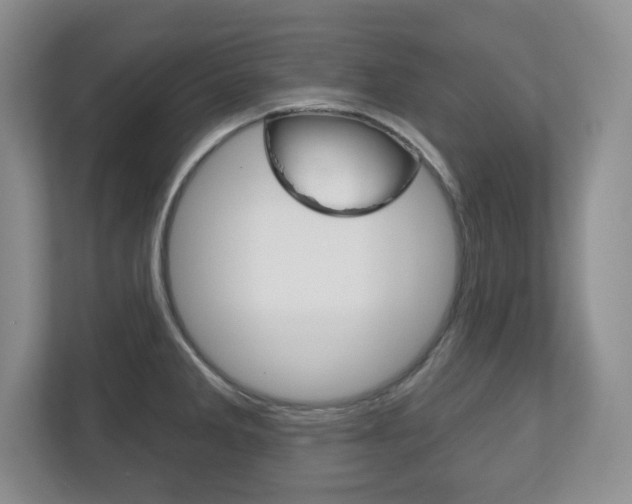 X0000113181285200909040946