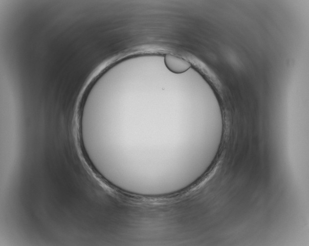 X0000113181286200909040946
