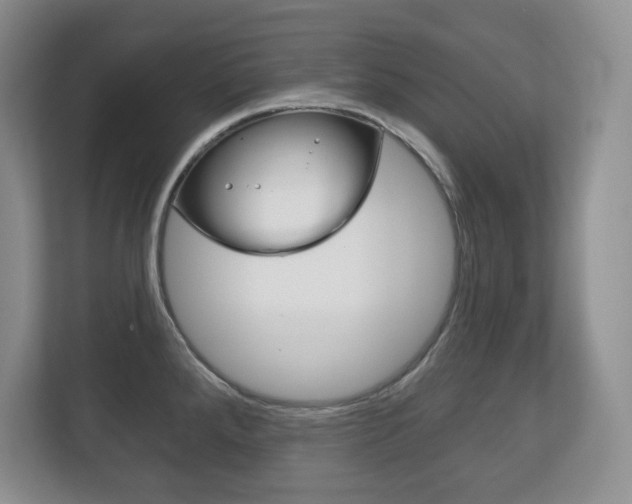 X0000113181288200909040946