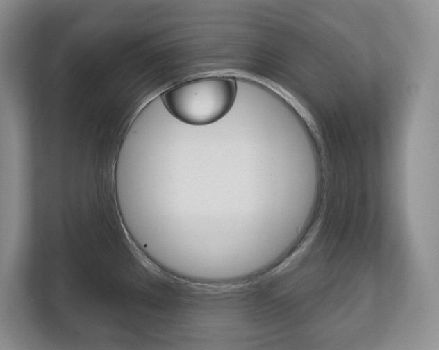 X0000113181289200909040946