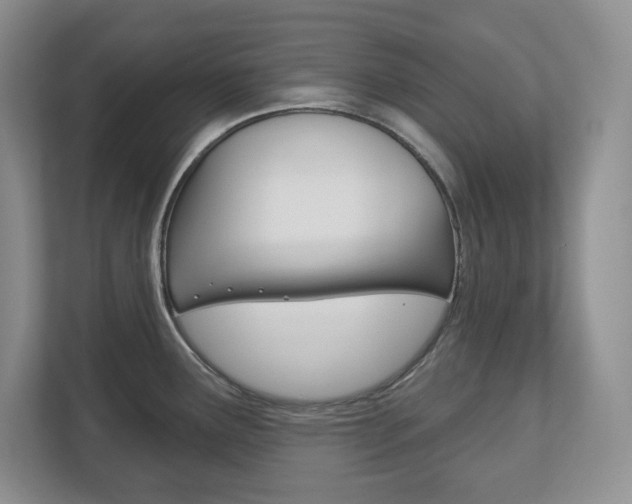 X0000113181291200909040946