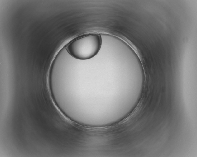 X0000113181293200909040946