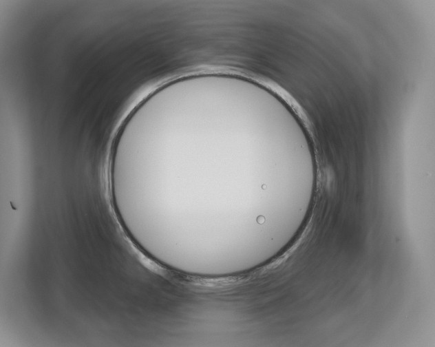 X0000113181294200909040946