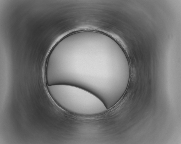 X0000113181295200909040946