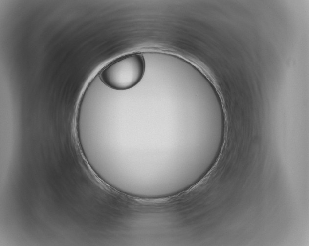 X0000113181296200909040946