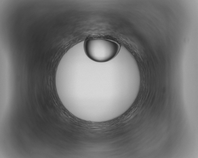 X0000113181300200909040946