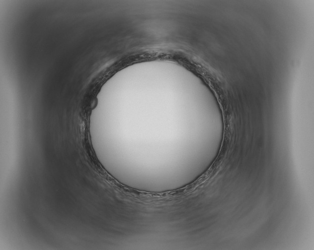 X0000113181302200909040946