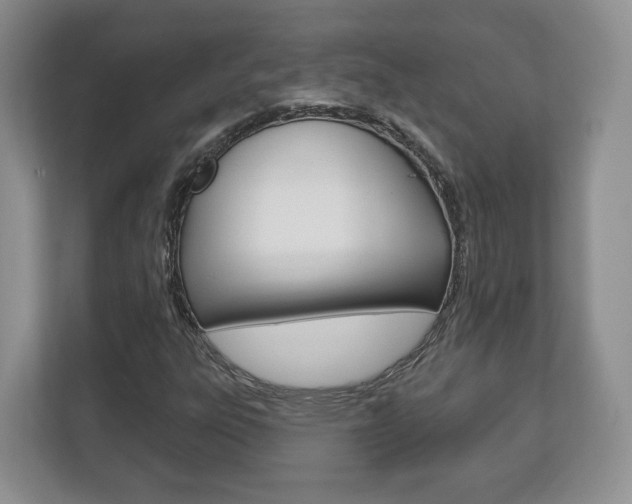 X0000113181303200909040946