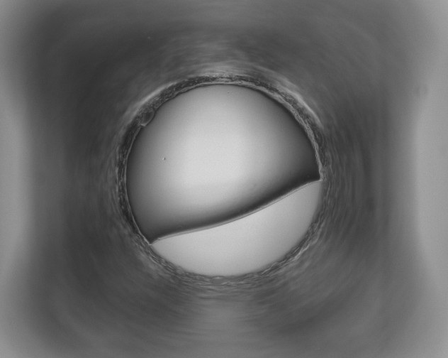 X0000113181304200909040946